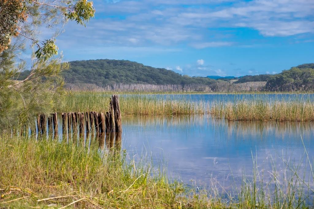 Cabarita Lake Apartments Cabarita Beach Eksteriør billede